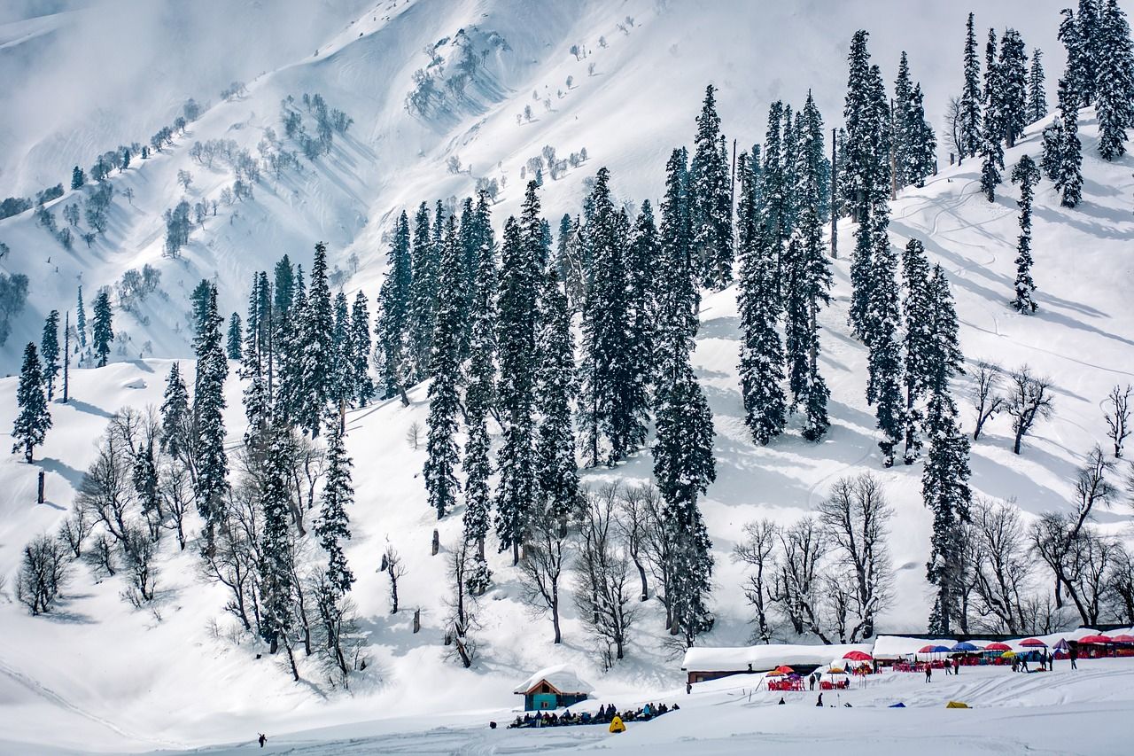 Snowy slopes of mountains of Kashmir lined with black trees and some colourful buildings at the bottom of the image.