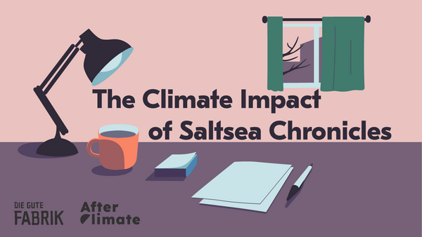 Expert Report on the Climate Impact of Saltsea Chronicles